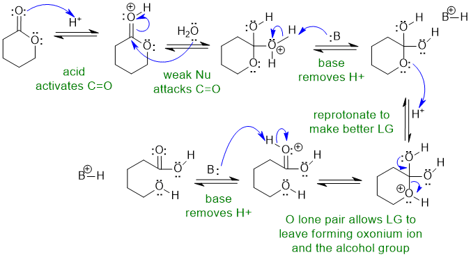 ester hydrolysis under acidic conditions