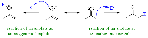 potential reactions of an enolate