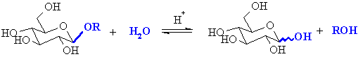 formation of a glycoside